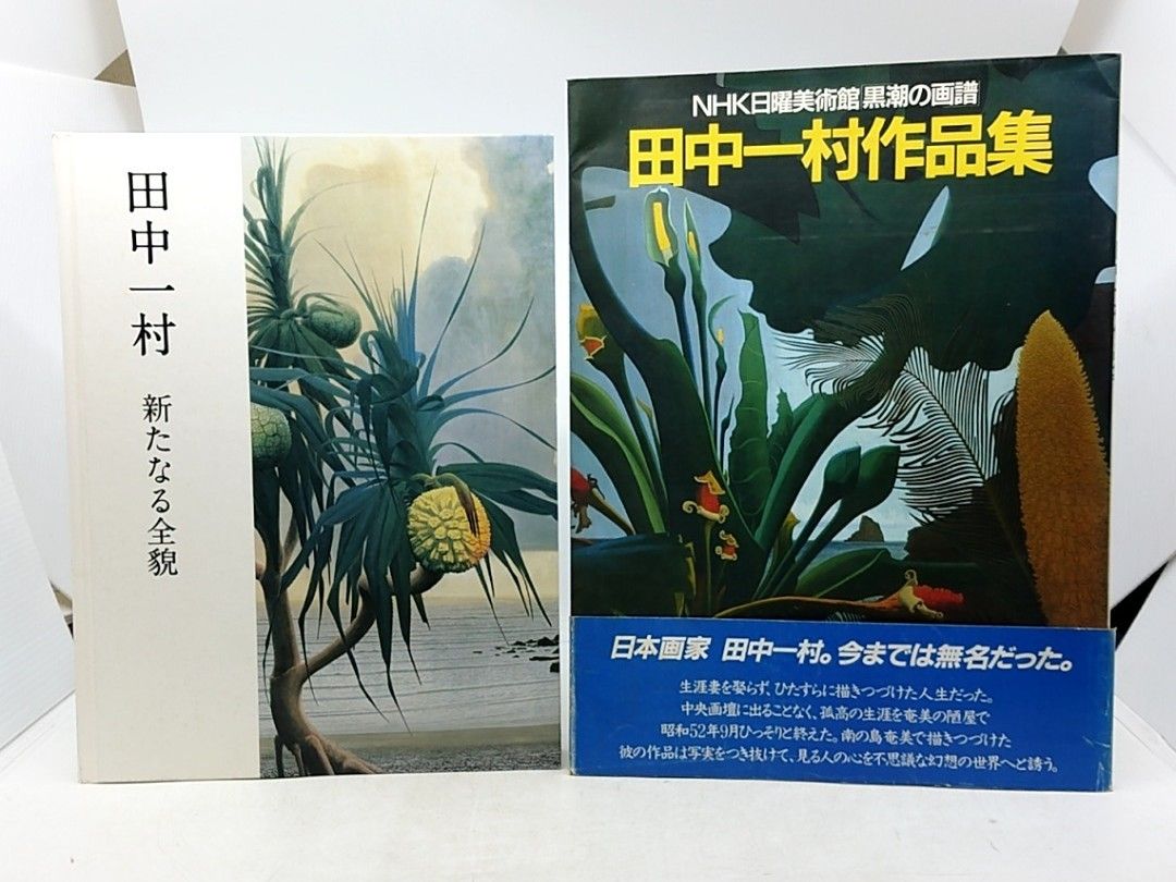 田中一村関連書籍 2冊セット NHK日曜美術館「黒潮の画譜」 新たなる