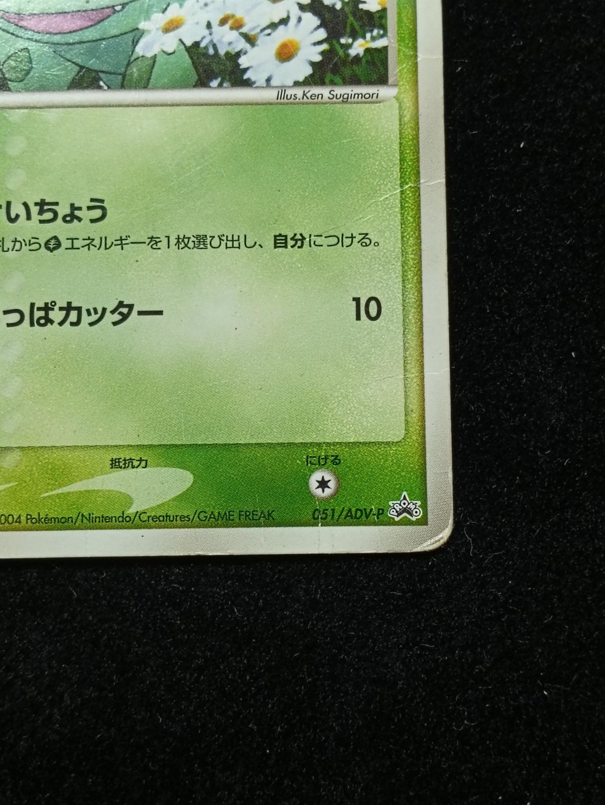 ポケモンカードゲーム フシギダネ PROMO ADV-Pプロモカード 051/ADV-P