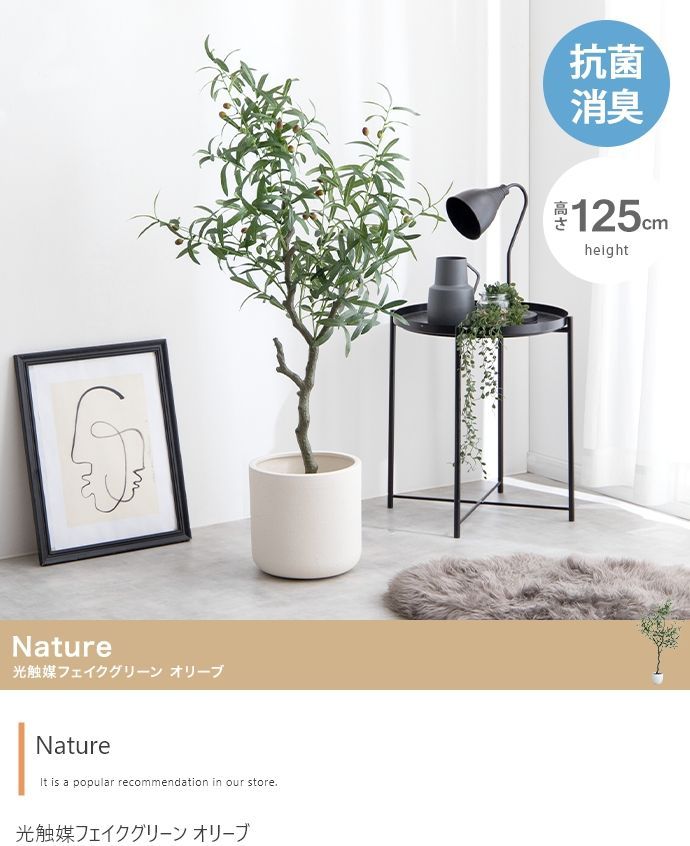 フェイクグリーン 大型 125cm オリーブ Nature 光触媒 人工観葉植物 8,303円