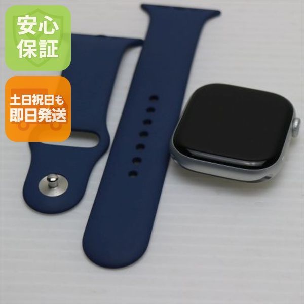 新品同様 Apple Watch Series 10 46mm GPS シルバー Watch APPLE 即日発送 土日祝発送OK