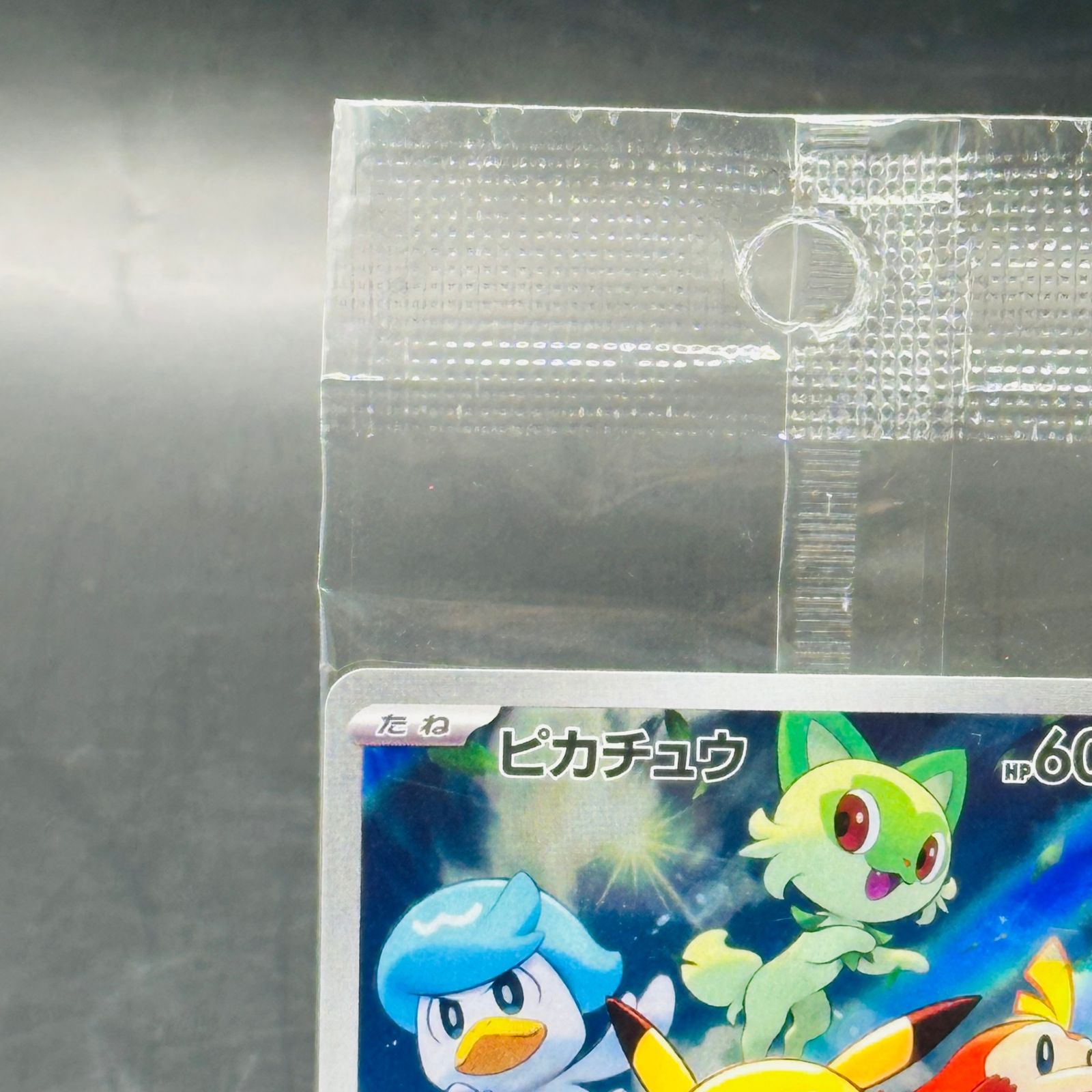 未開封 ピカチュウ: プロモ [001/SV-P](プロモーションカード「SV-P