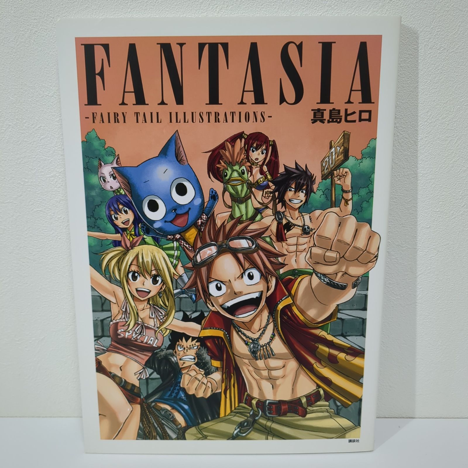 真島ヒロ FAIRY TAIL 画集セット FANTASIA HARVEST - メルカリ