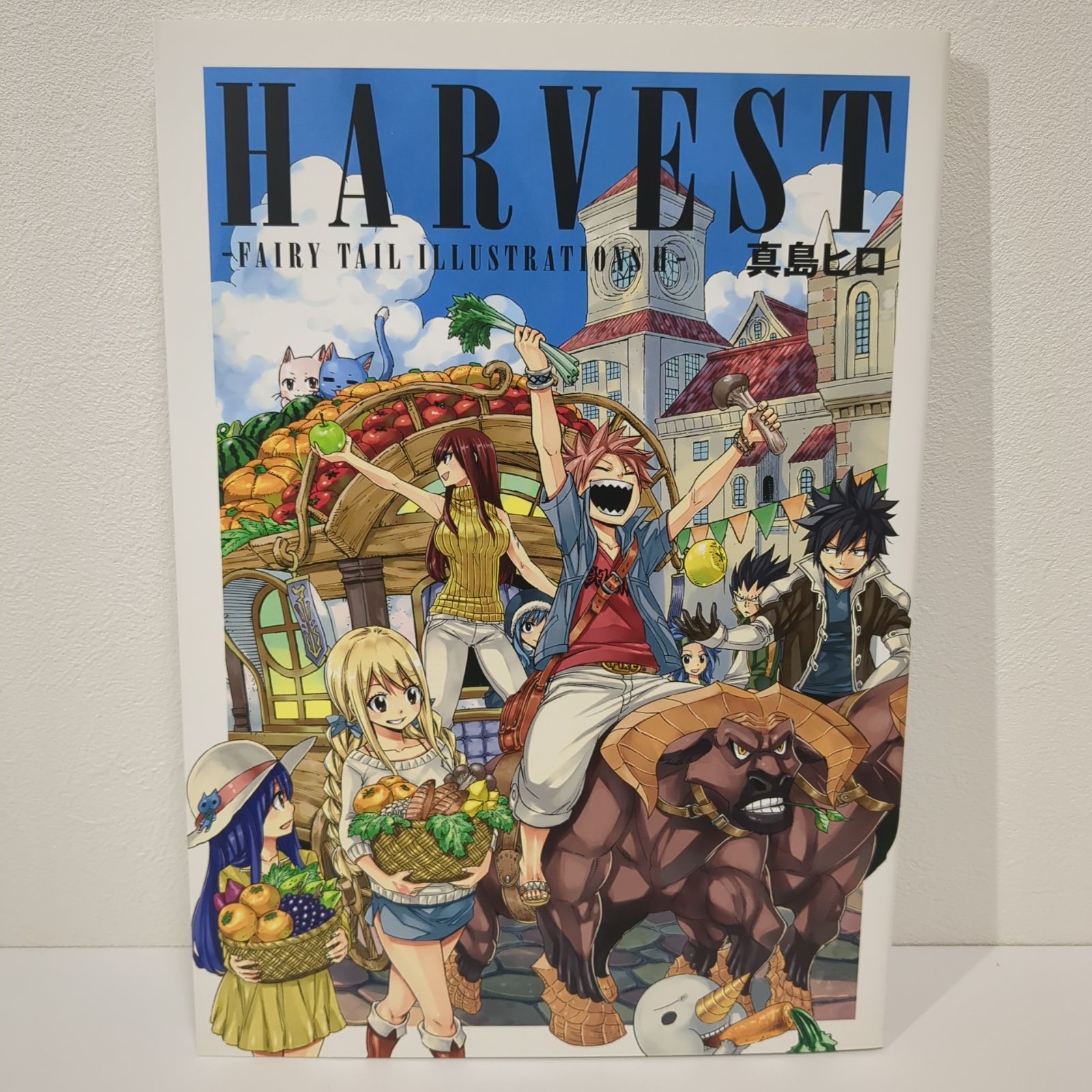 真島ヒロ FAIRY TAIL 画集セット FANTASIA HARVEST - メルカリ