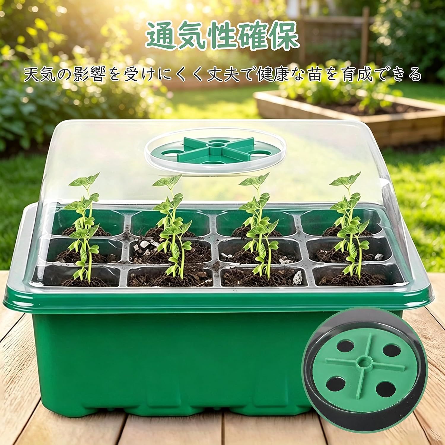 在庫処分】花 ハーブ 野菜 排水穴付き 通気口付き 多肉植物用 発芽育苗
