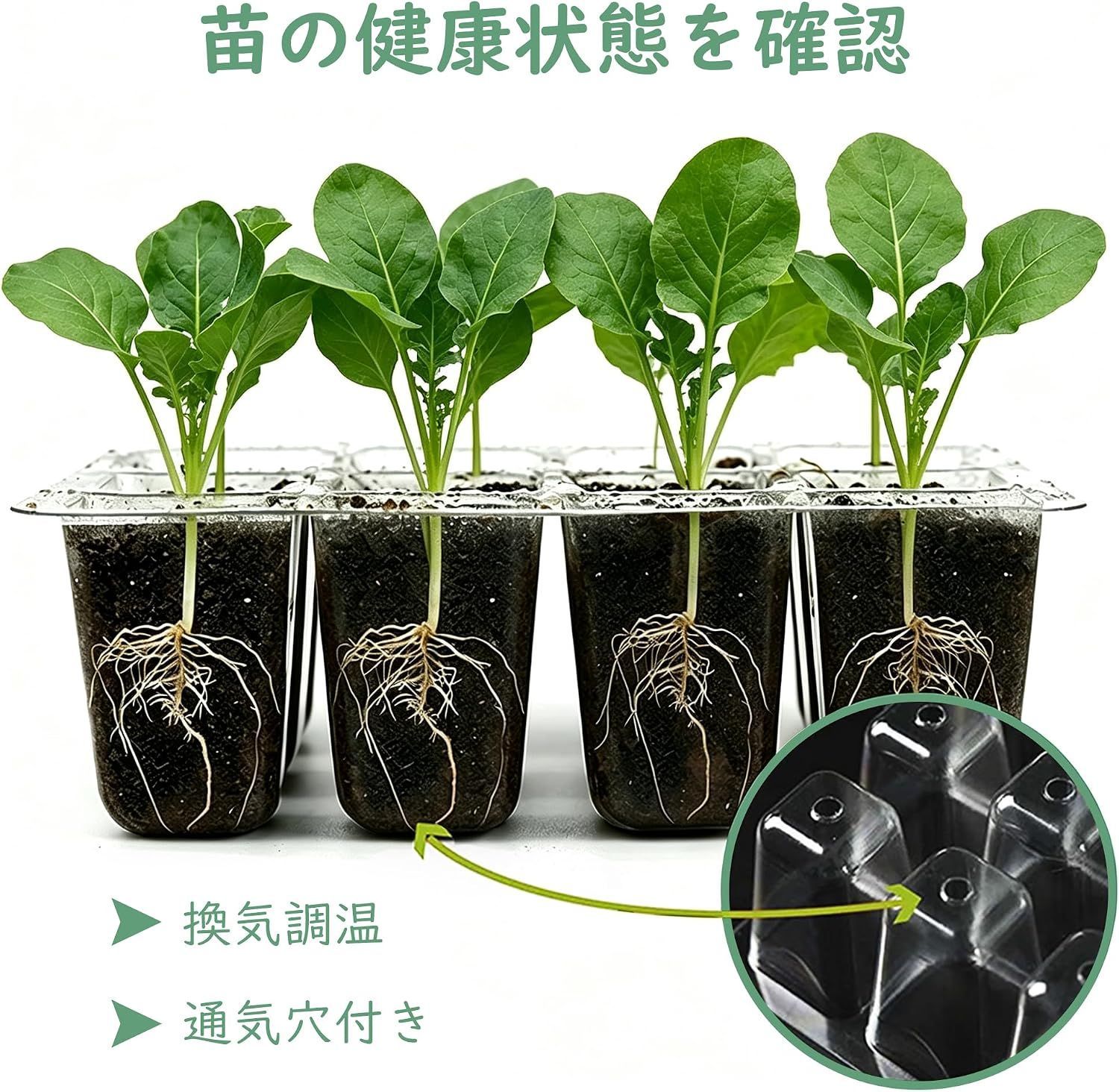 在庫処分】花 ハーブ 野菜 排水穴付き 通気口付き 多肉植物用 発芽育苗