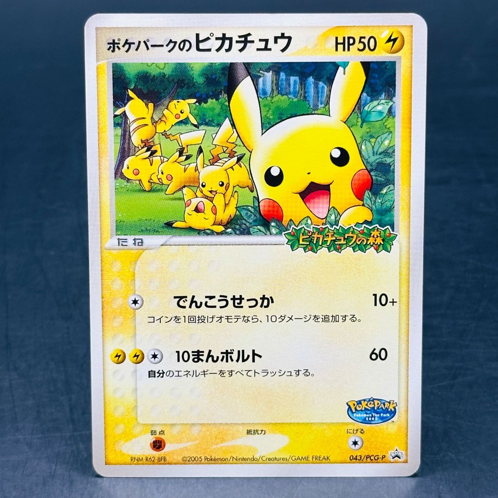 ポケパークのピカチュウ PROMO PCG-Pプロモカード 043/PCG-P ポケパークのピカチュウ P [PCG-P 043](プロモーションカード