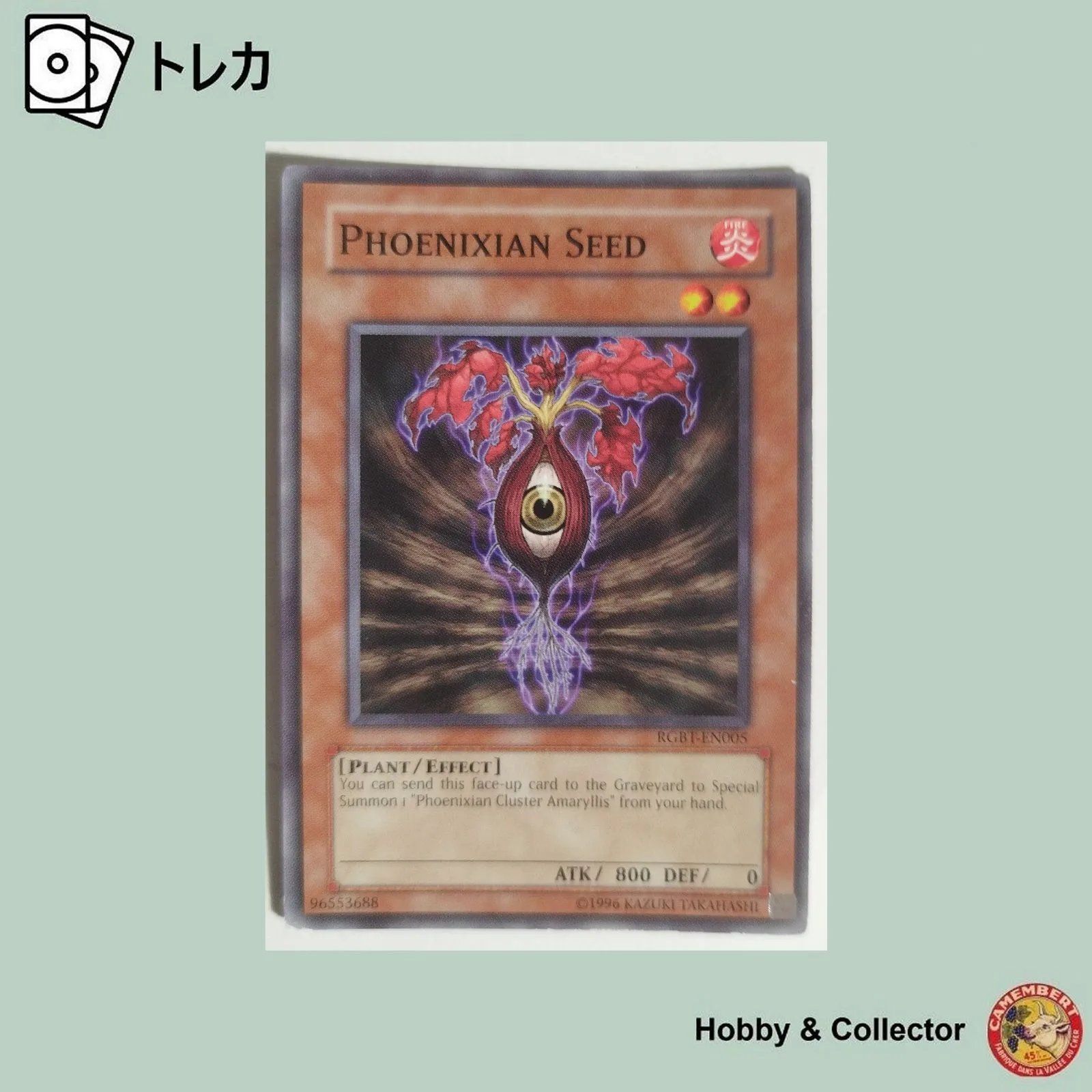 PHOENIXIAN SEED RGBT-EN005 遊戯王 英語版 ( #16845 ) - メルカリ