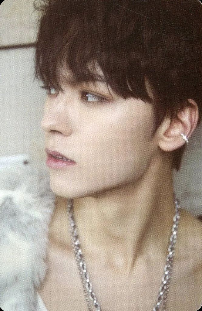 中古】コレクションカード(男性) 05[スペシャル]：SEVENTEEN/VERNON