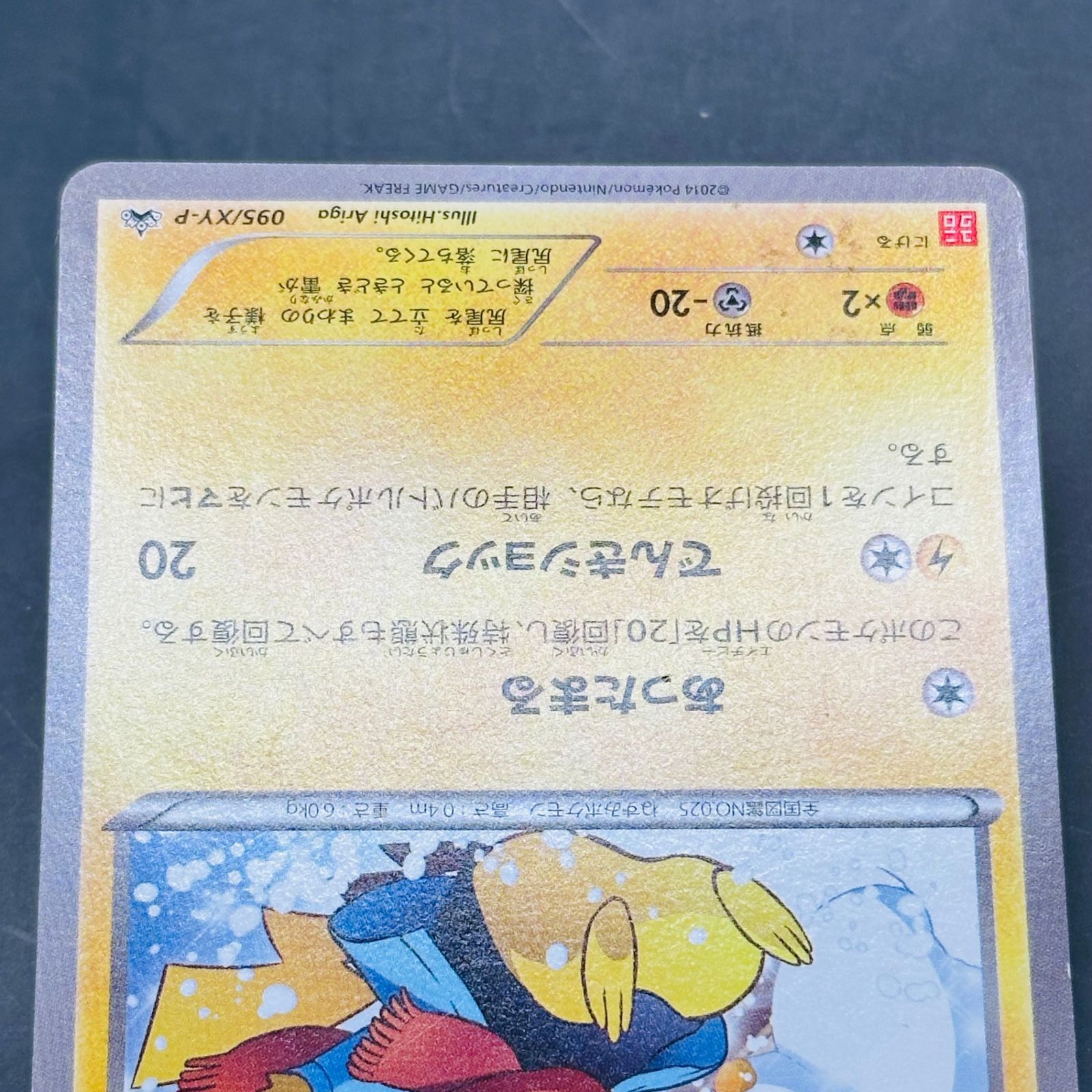 あったかピカチュウ: プロモ[XY-P 095/XY-P](プロモーションカード「XY