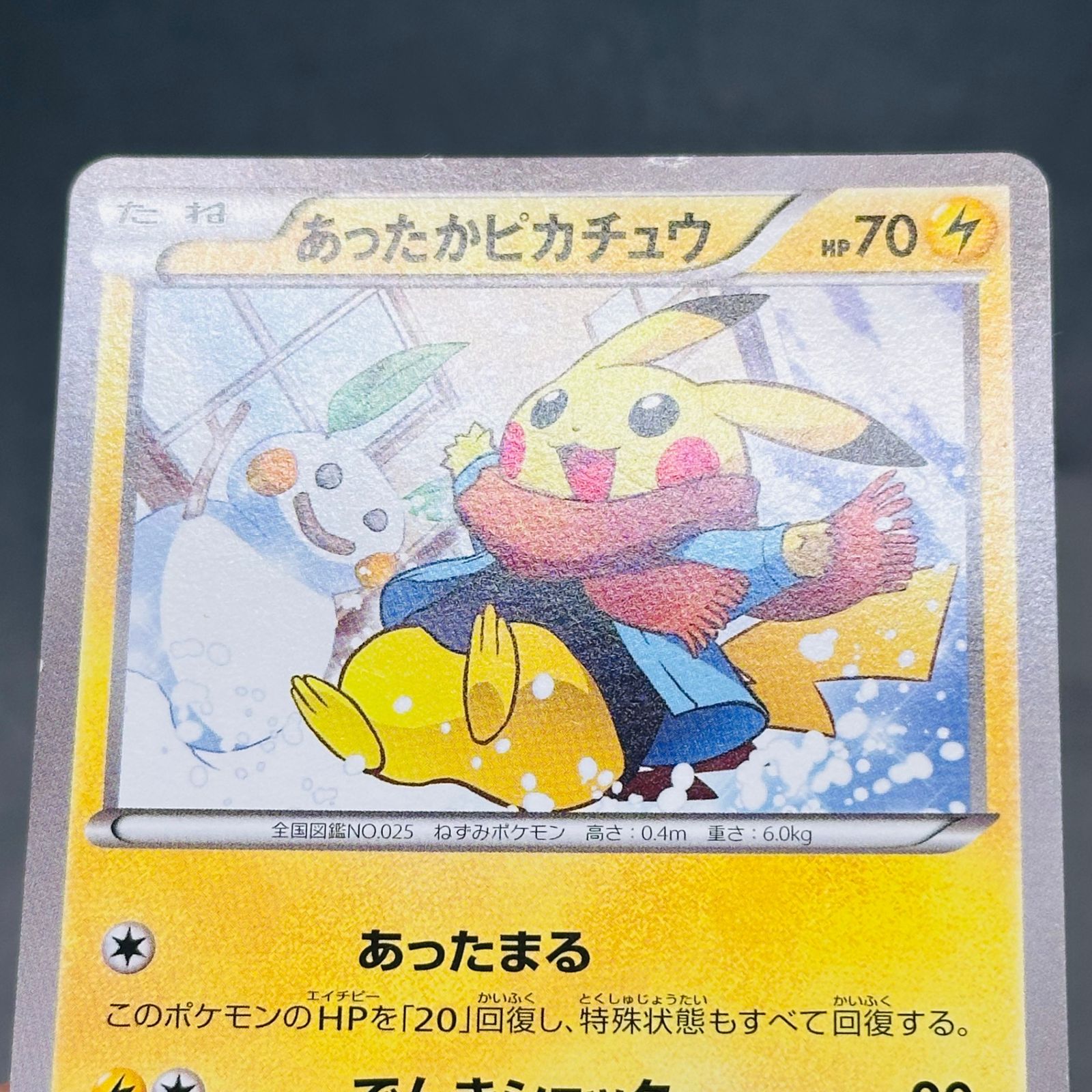 あったかピカチュウ: プロモ[XY-P 095/XY-P](プロモーションカード「XY