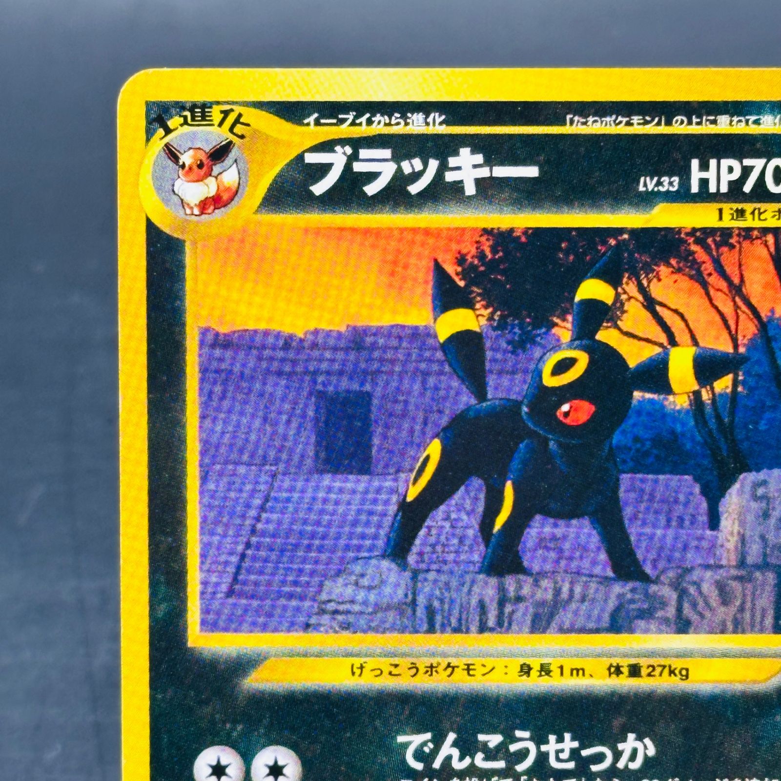 【完美品級】ブラッキープレミアムファイル2旧裏No.197プレミアムファイル2 ブラッキープレミアムファイル2: 旧裏[neoP2 No.197](プレミアム