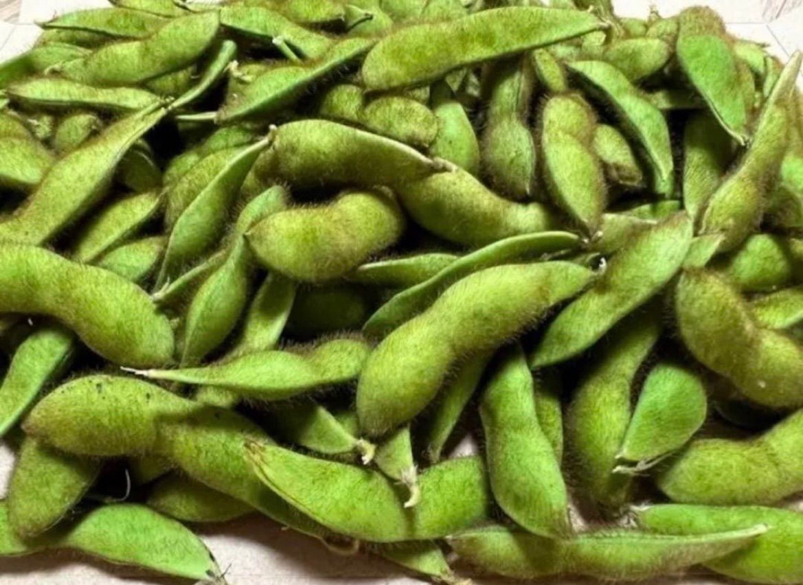 採れたて！青森つがる毛豆800g - メルカリ