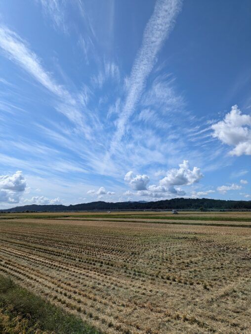 北海道・関西のお客様限定】送料がお得！令和8年産 新米 青森県産はれ