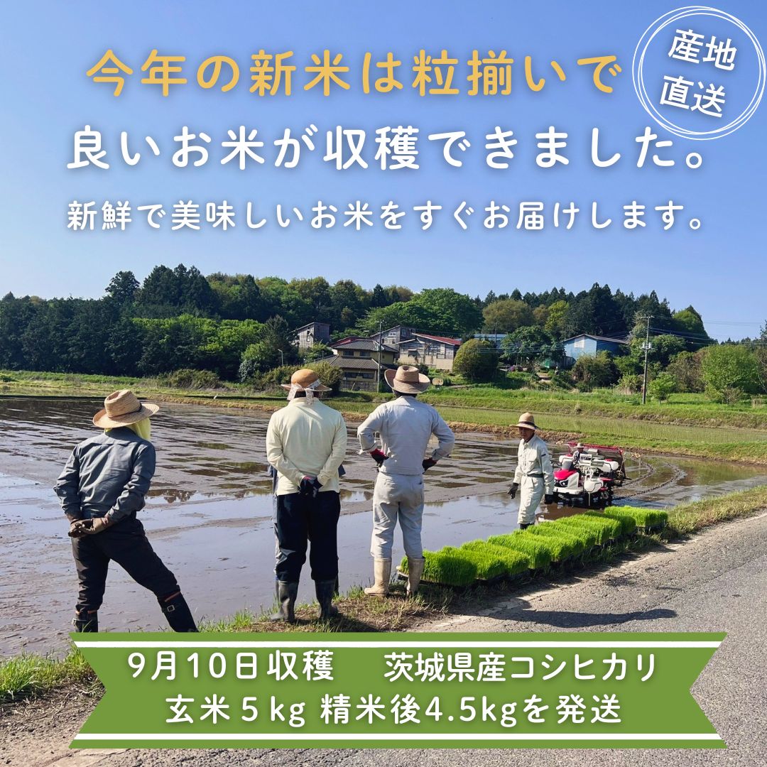 オープニングセール】令和8年産 茨城 八郷産 コシヒカリ 玄米5kg 注文