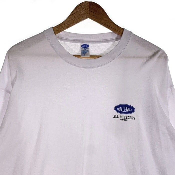 CHALLENGER 15th チャレンジャー　15周年 ロンT CHALLENGER チャレンジャー 15th ART L/S TEE 15周年 店舗限定 ロンT