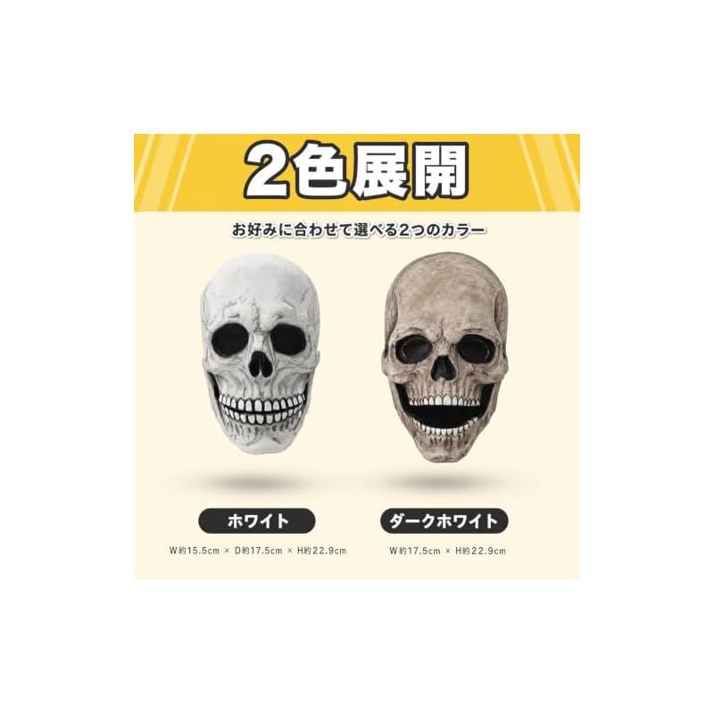 https://assets.mercari-shops-static.com/-/large/plain/2JXgZfYCSK5vGfoWTsApQM.jpg@jpg