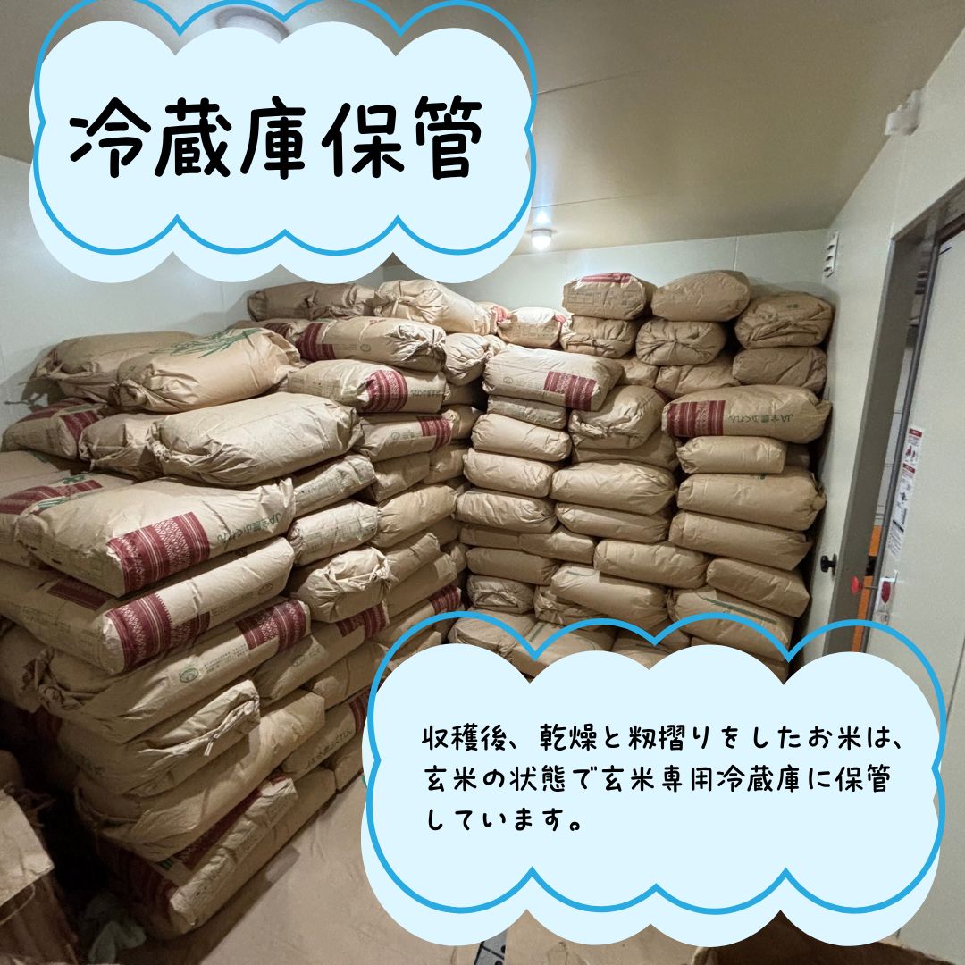 令和7年産 福岡県産 】夢つくし 5kg 白米 生活応援米 農家直送 色彩