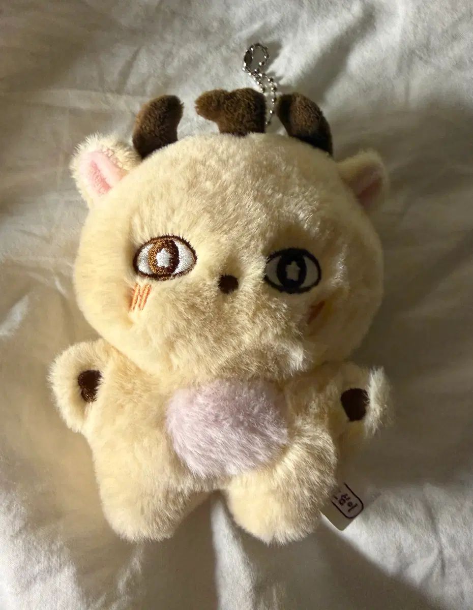 パク・ジフン(PARK JIHOON) ソシミ トレカ付き フォトカード 付き