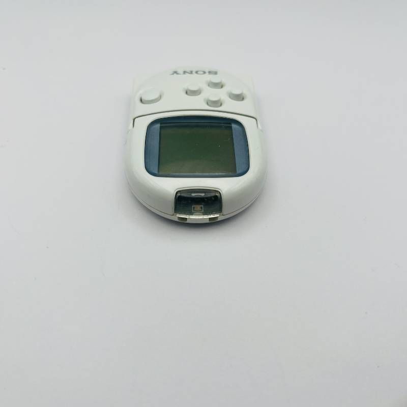 SONY PocketStation ポケットステーション SCPH-4000 ホワイト 動作