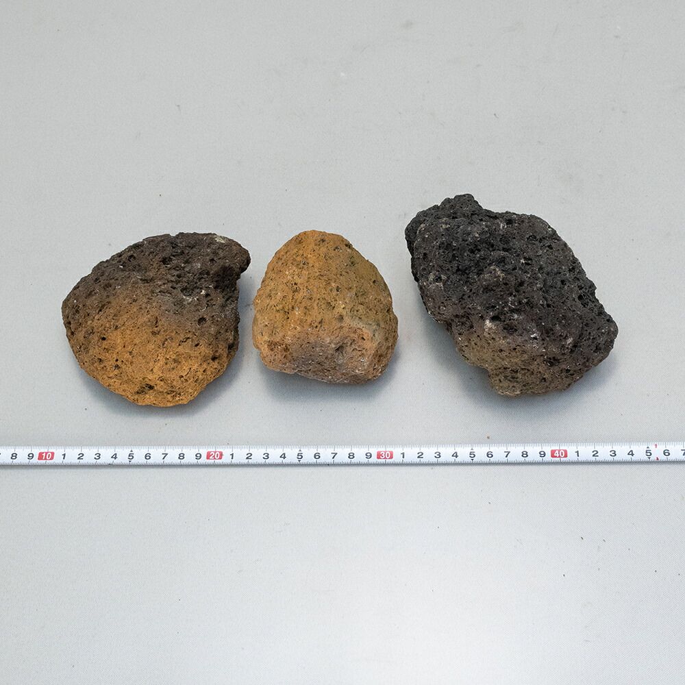 現物お届け【無加工軽石】 桜島産軽石（3個セット）盆栽鉢、苔盆栽