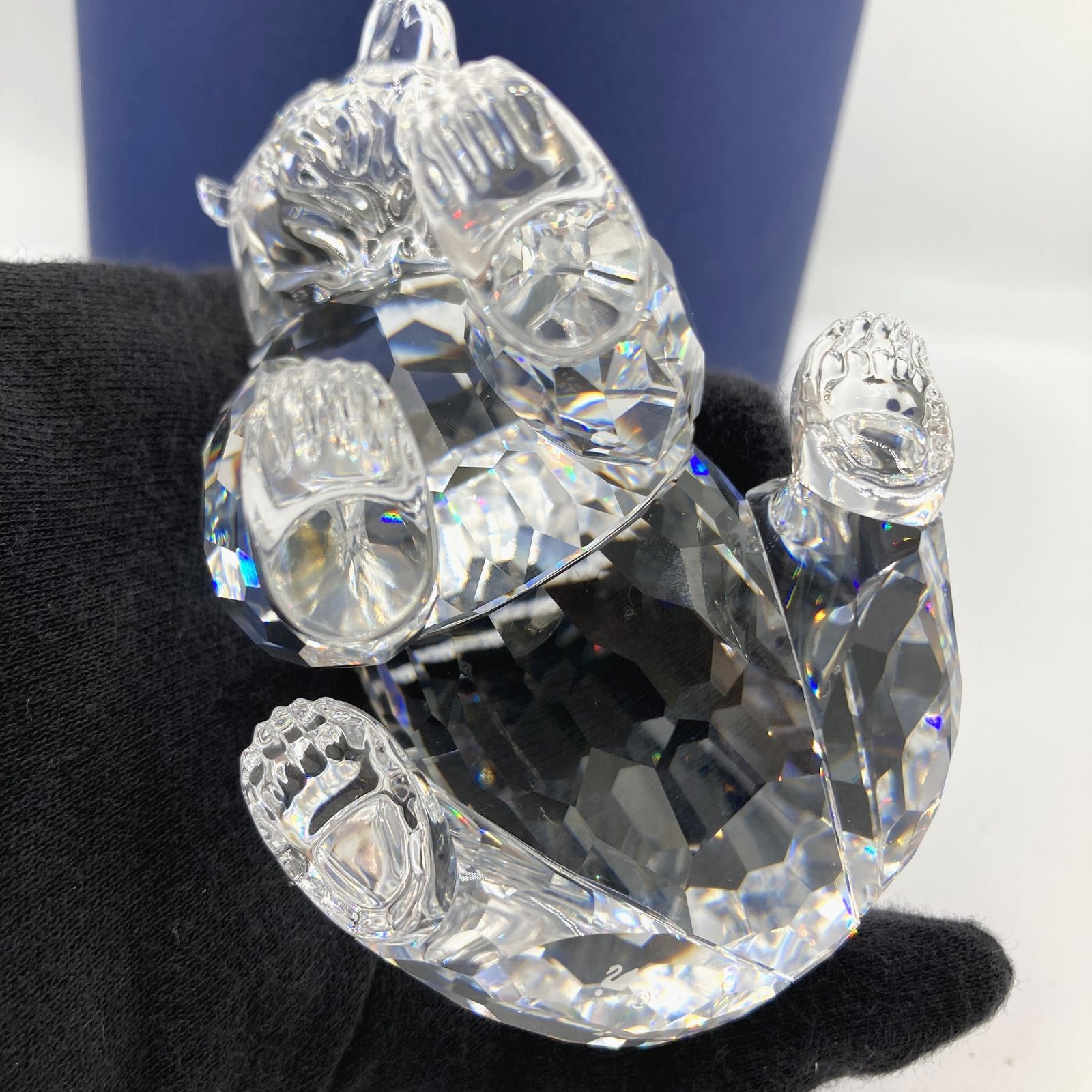 スワロフスキー (SWAROVSKI)「Rare Encounters (珍しい出会い
