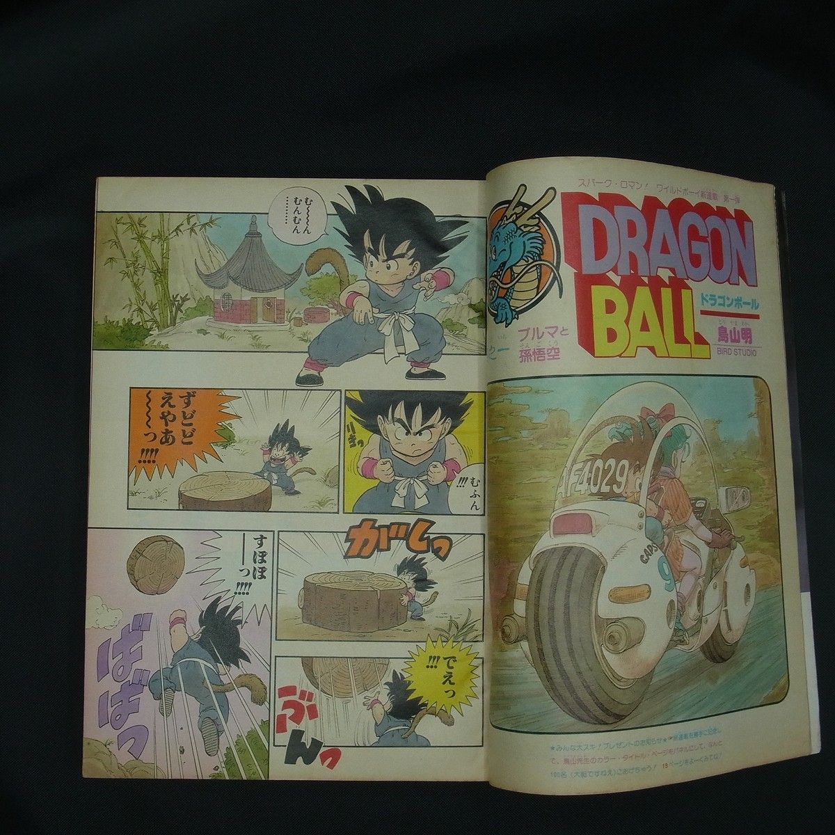 週刊少年ジャンプ 1984年 51号 ドラゴンボール 新連載 第一話 ブルマと