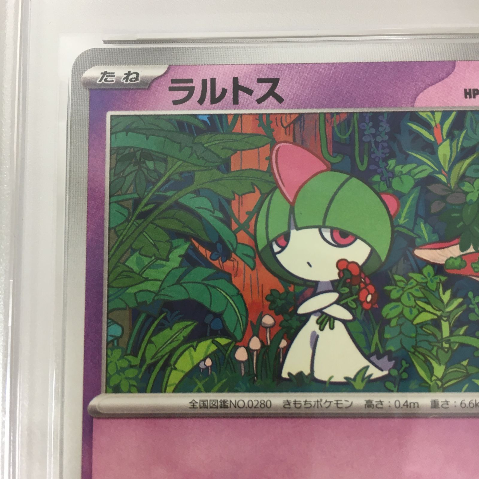 三沢店56-22-1005] ポケモンカード PSA10 ラルトス マクドナルド