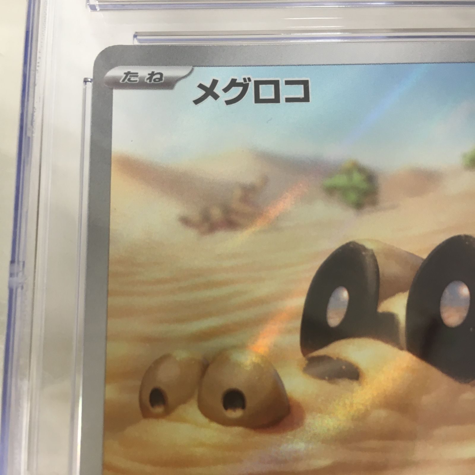 三沢店56-55-1005] ポケモンカード PSA10 メグロコ 087/078 AR - メルカリ