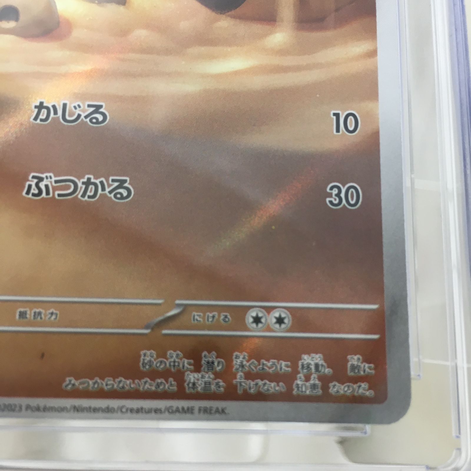 三沢店56-55-1005] ポケモンカード PSA10 メグロコ 087/078 AR - メルカリ