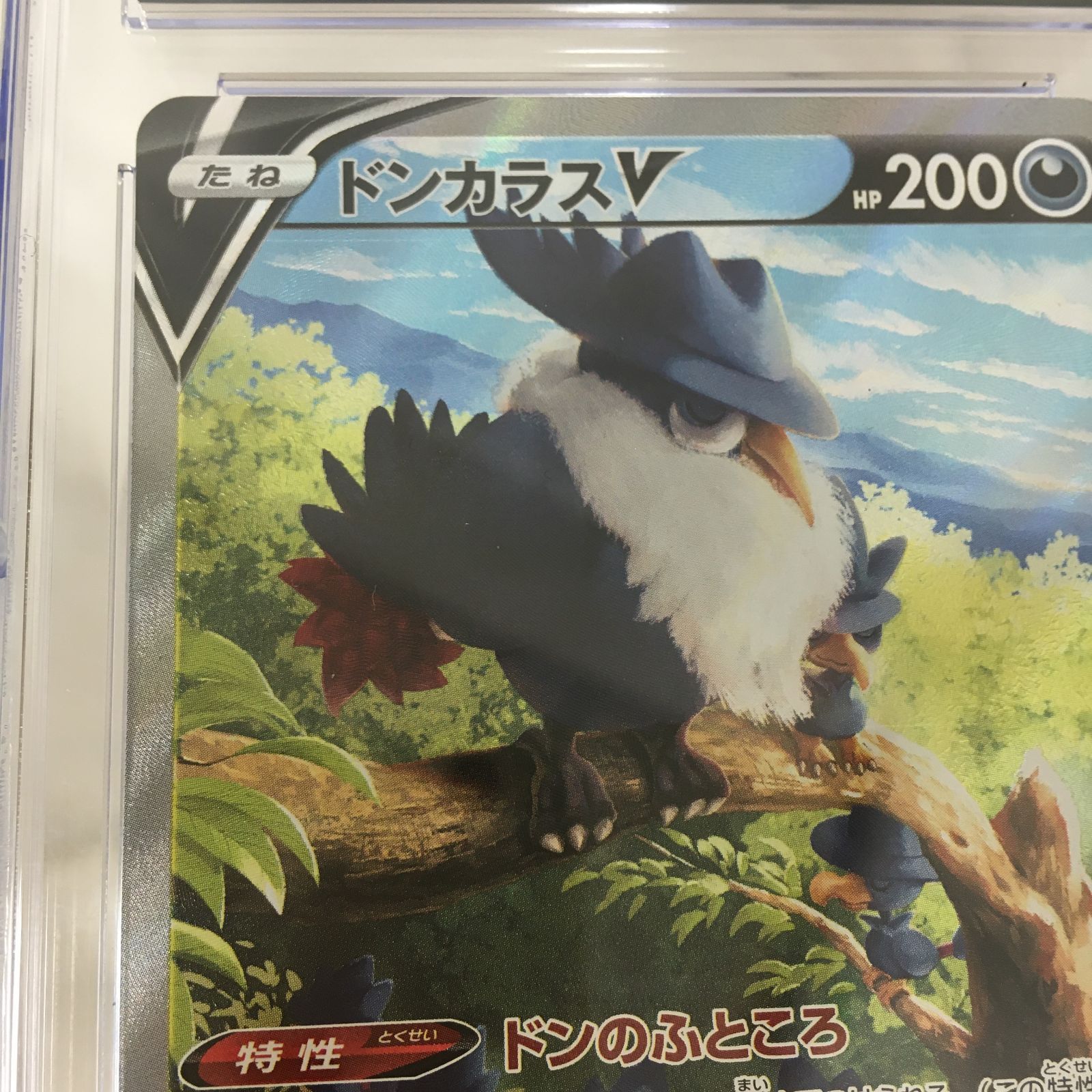 三沢店56-66-1005] ポケモンカード PSA10 ドンカラスV 109/100 SR