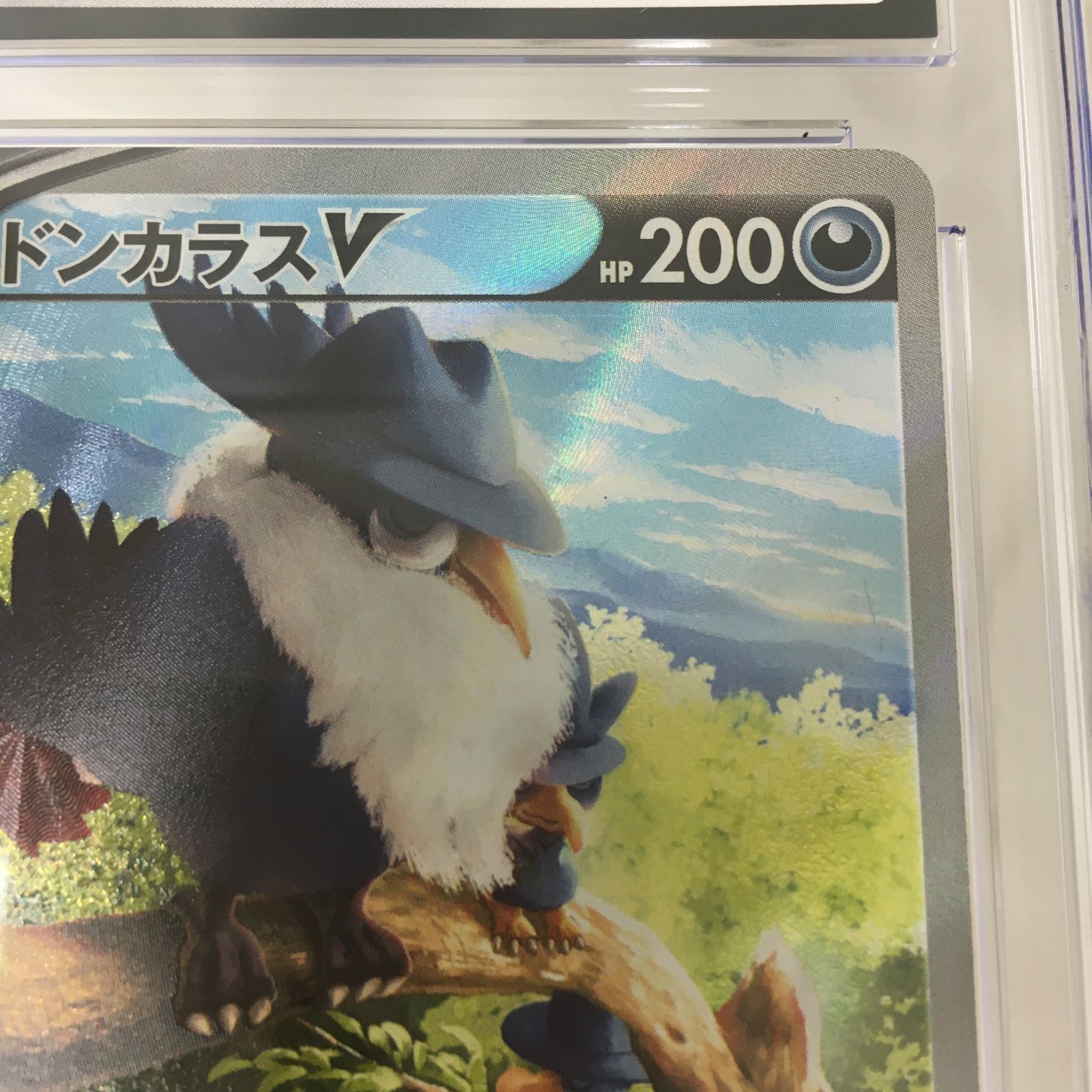 三沢店56-66-1005] ポケモンカード PSA10 ドンカラスV 109/100 SR