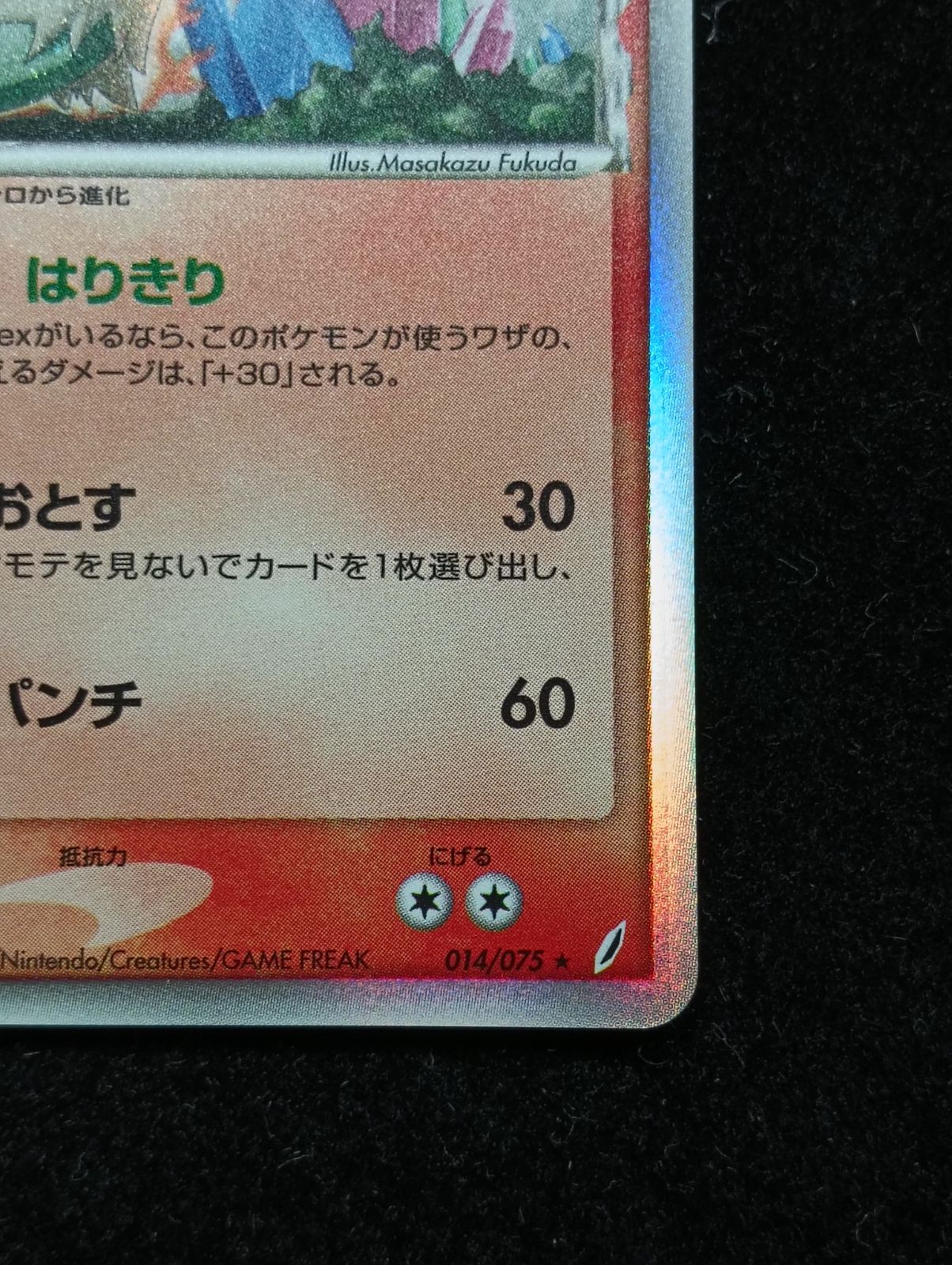 ポケモンカードゲーム ルンパッパ δ-デルタ種 ☆ PCG 拡張パック き