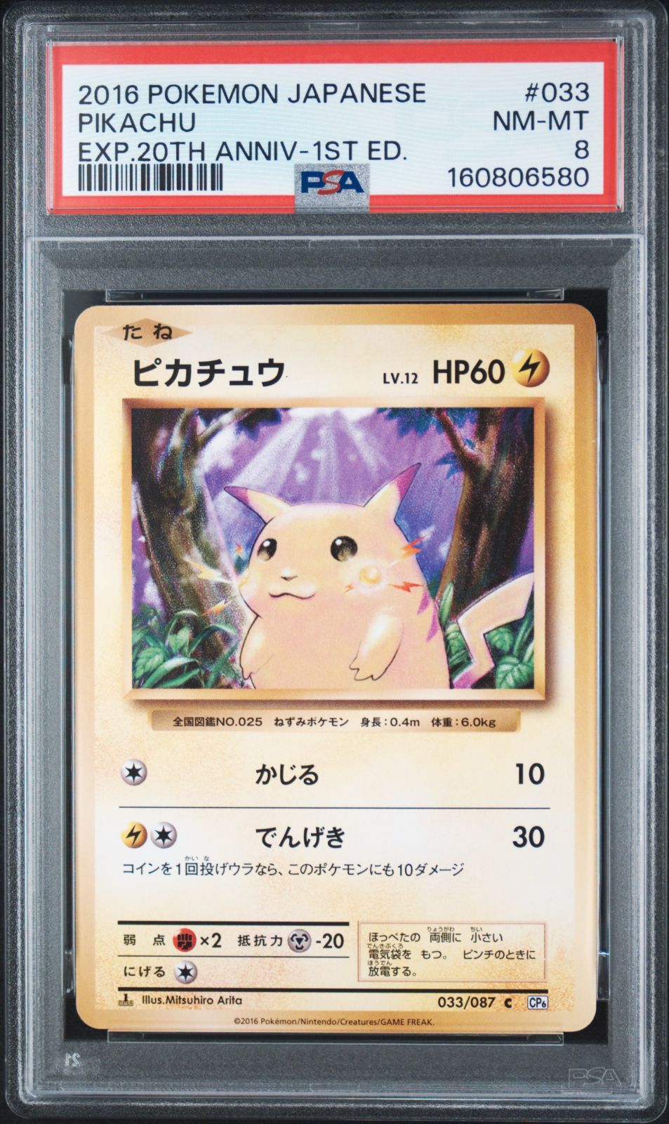 PSA8】 ポケモンカード ピカチュウ PIKACHU 033/087 CP6 1ED 20th