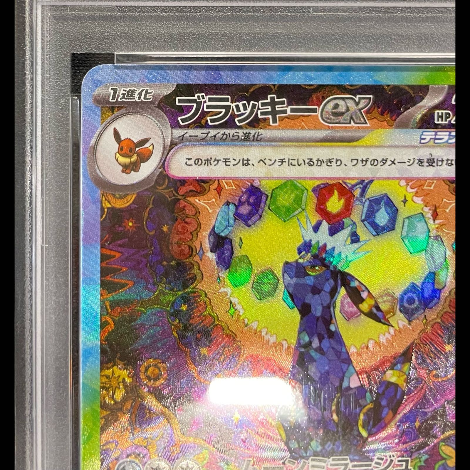 PSA10】ブラッキーex SAR 217/187 1枚 - メルカリ