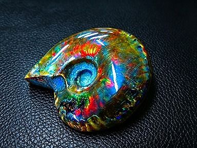 【新品】 天然石（原石） 数万個の中の一個★天然マダガスカル産 ★ 両面オパールアンモナイト 化石標本超巨大40ｇ★60ｍｍ 26101888