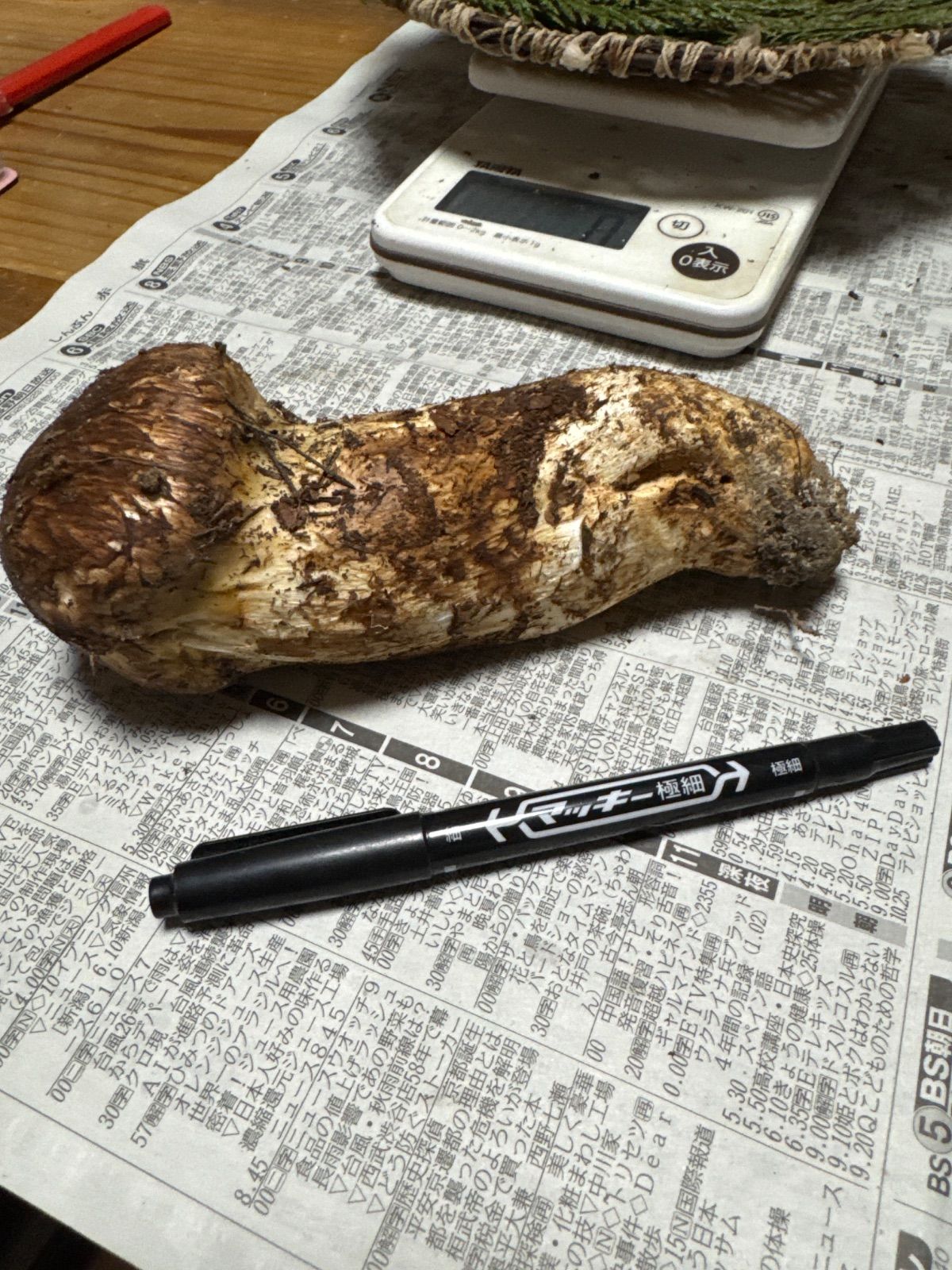 信州上伊那産天然松茸 214g 目立った傷や汚れなし - メルカリ