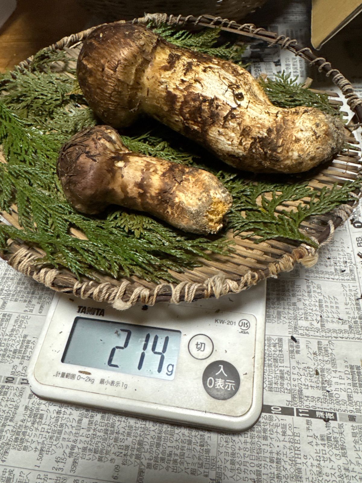 信州上伊那産　松茸　76g 信州上伊那産天然松茸 214g 目立った傷や汚れなし - メルカリ