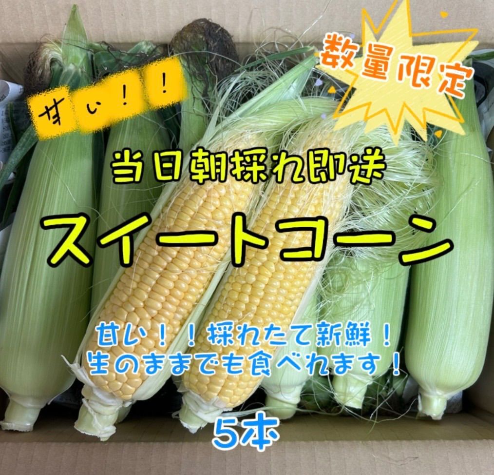 早朝取りとうもろこし5本 おおもの - メルカリ