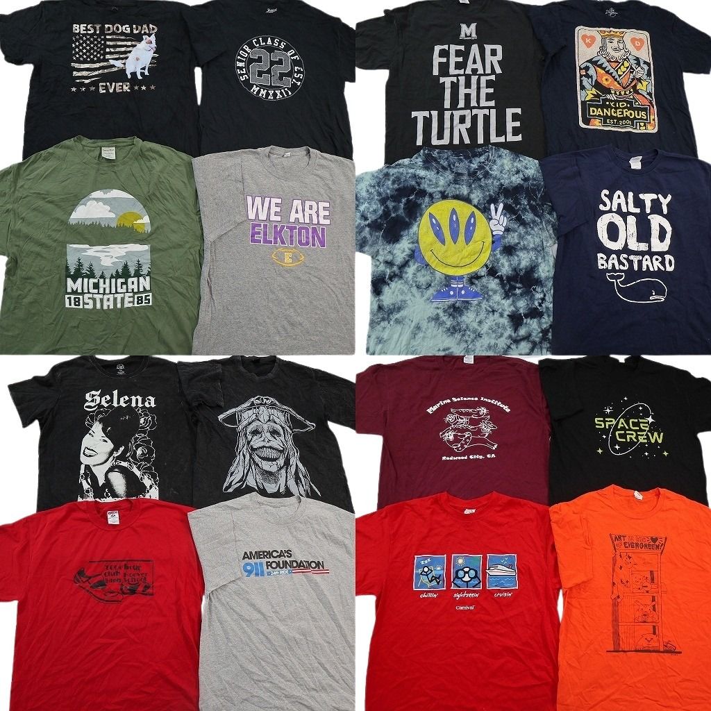 古着卸 まとめ売り プリント Tシャツ 16枚セット ( メンズ L ) 中古
