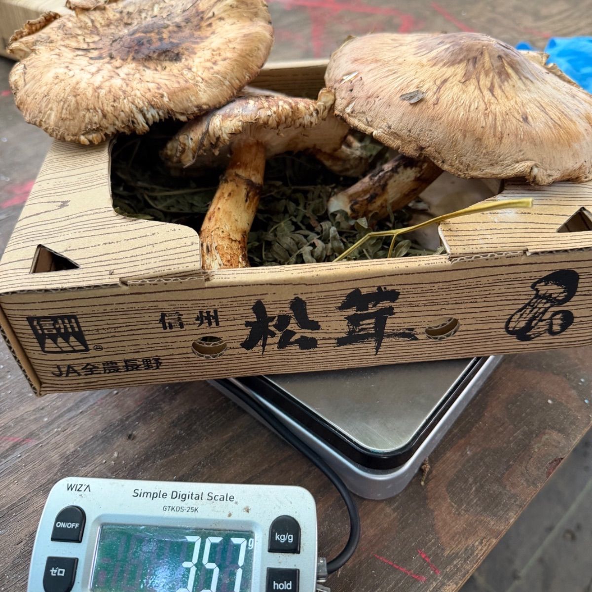 信州後山産！天然松茸約350g原品1箱のみ！送料無料秋の味覚 激安出品