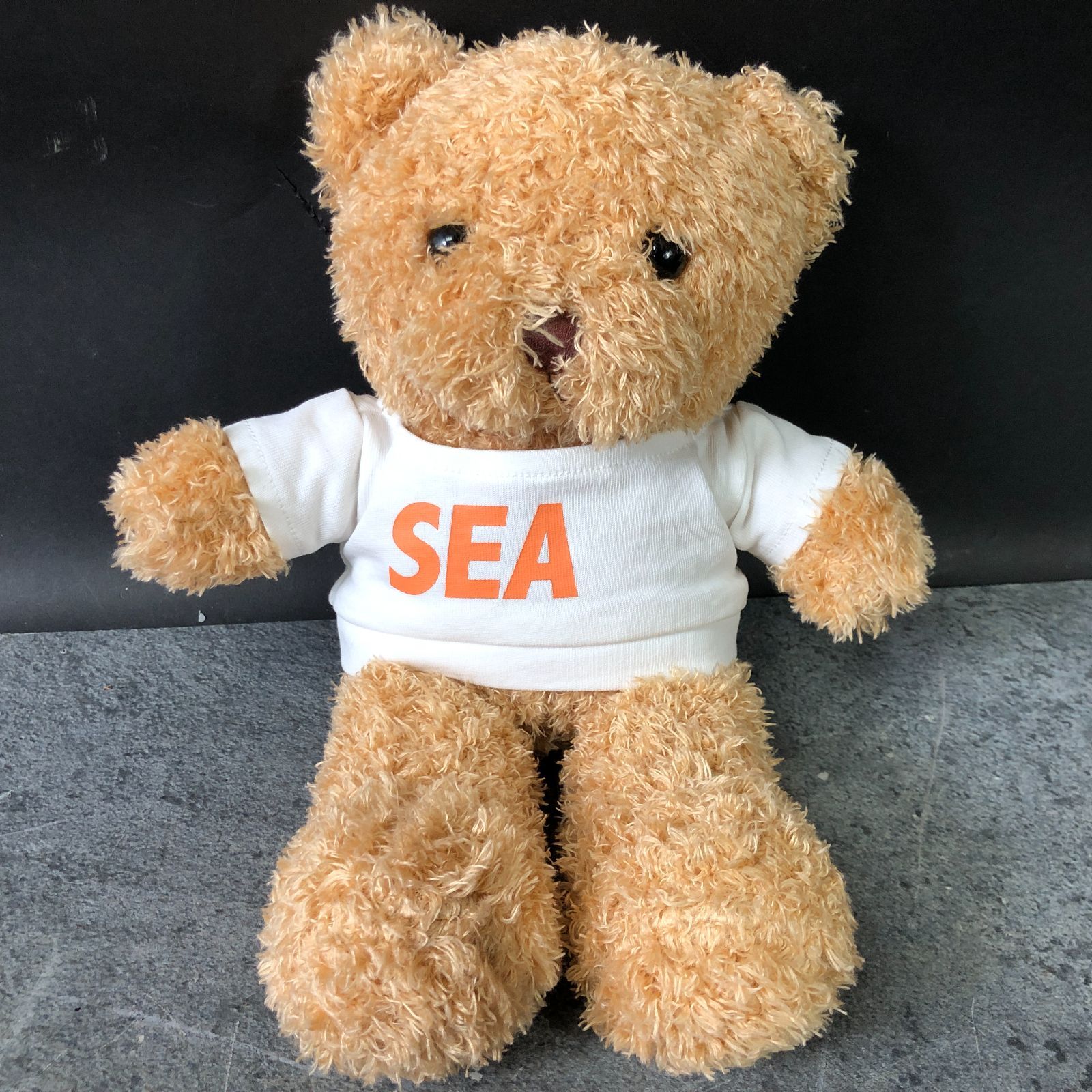WIND AND SEA テディベア ホワイト ロゴシャツ くま ぬいぐるみ 26j菊
