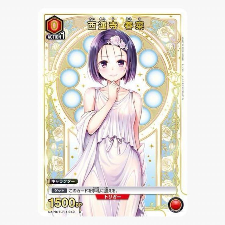 To LOVEる-とらぶる-シリーズ 9ポケットバインダーセット 【2027年1