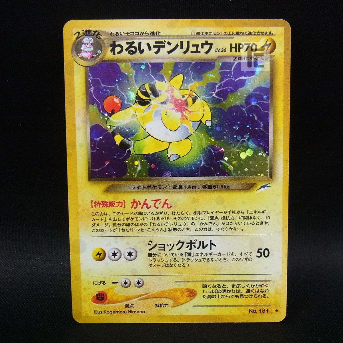 わるいデンリュウ LV.36 /TA25663 - メルカリ