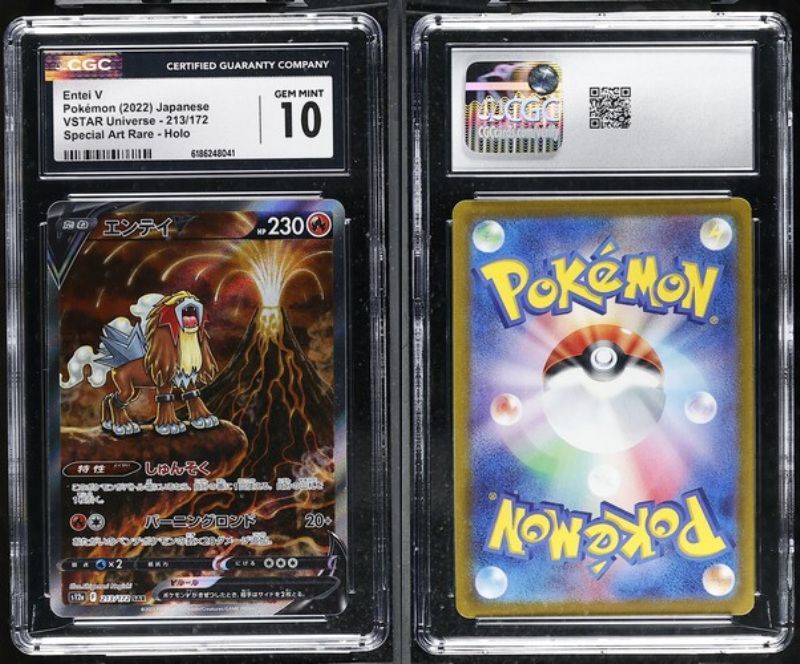 PSA 10 相当 CGC10 エンテイV 213/172 S12a VSTARユニバース ポケモン