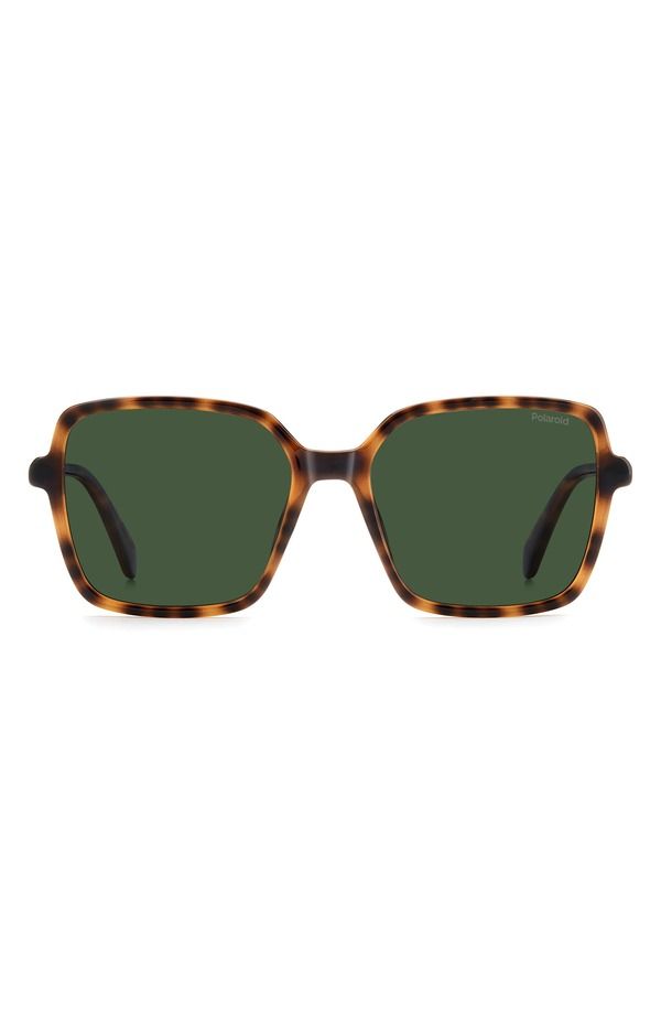 ポラロイド レディース アクセサリー サングラス・アイウェア Polaroid 56mm Polarized Square Sunglasses HAVANA GREEN PZ グリーン