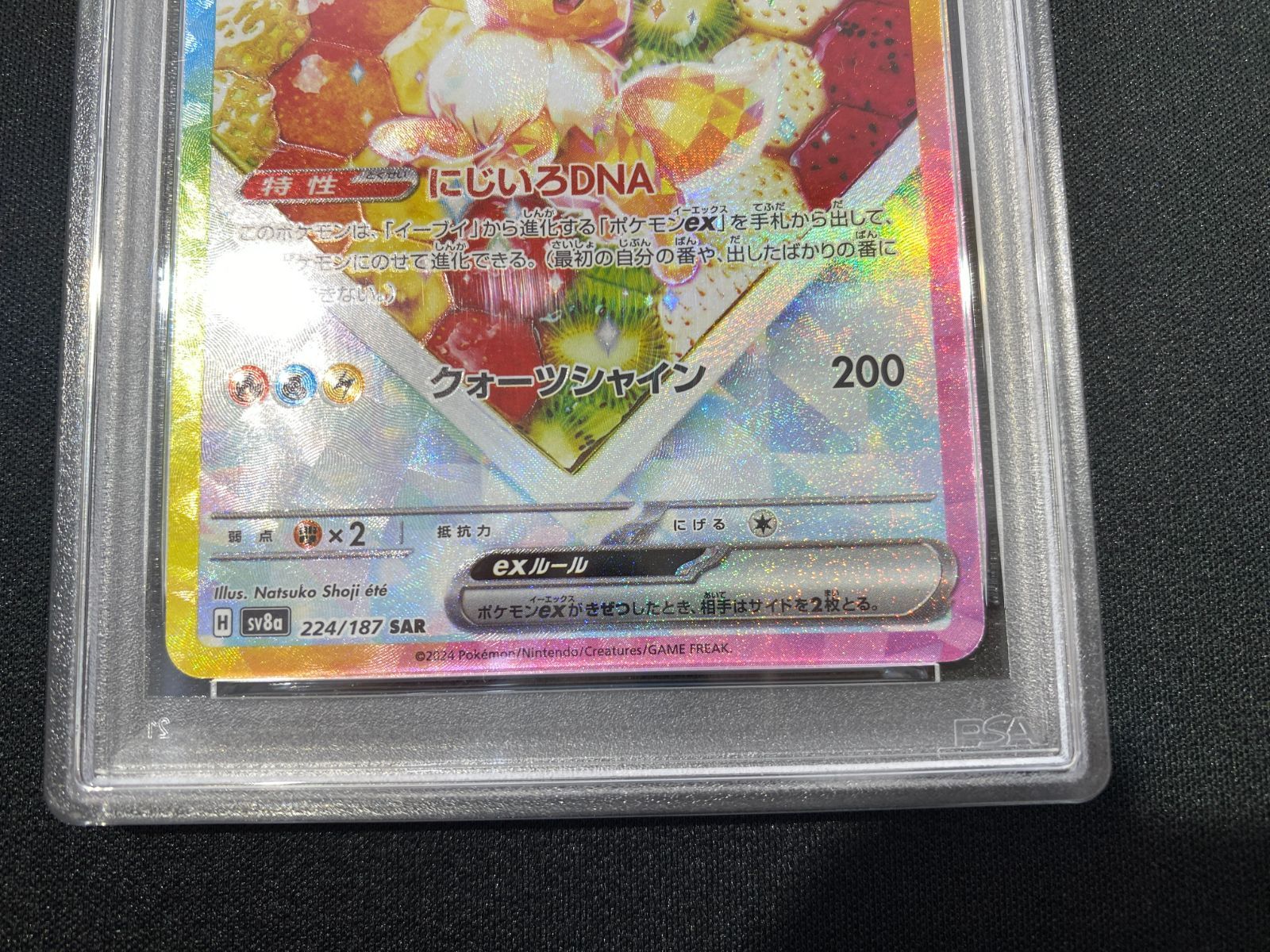 七重浜店56-4-081004] 【PSA10】 ポケモンカードゲーム イーブイex 224