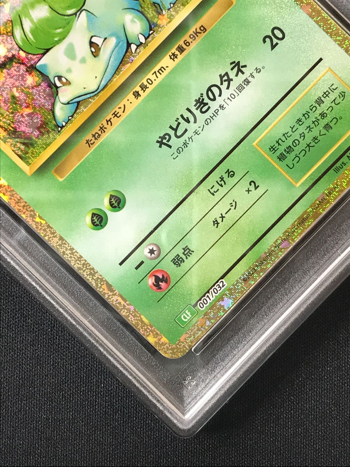 PSA10】 ポケモンカードゲーム ポケカ フシギダネ - CLF-001 CLF