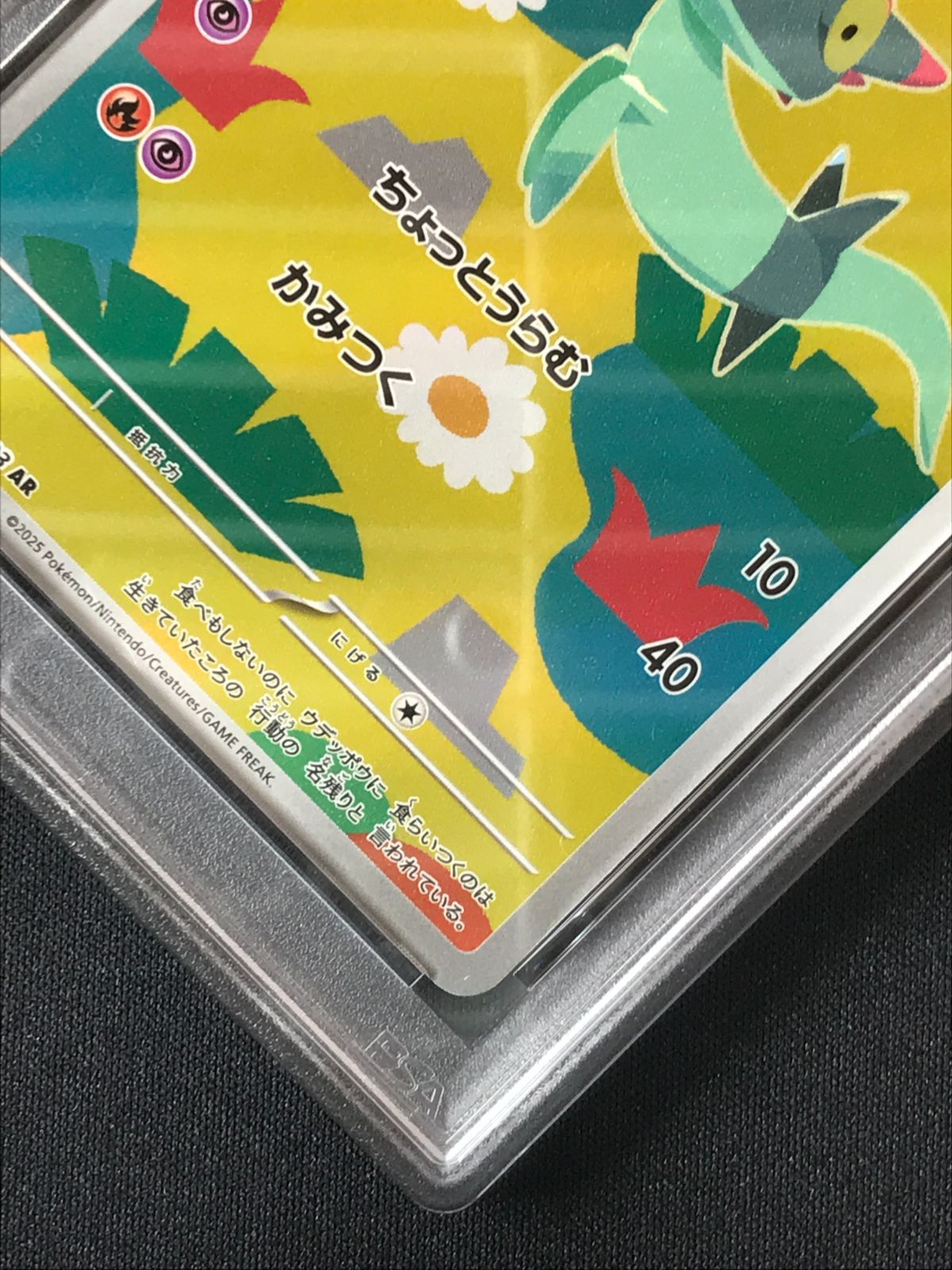 PSA10】 ポケモンカードゲーム ポケカ ドラメシヤ AR M2a-211 M2a ハイ