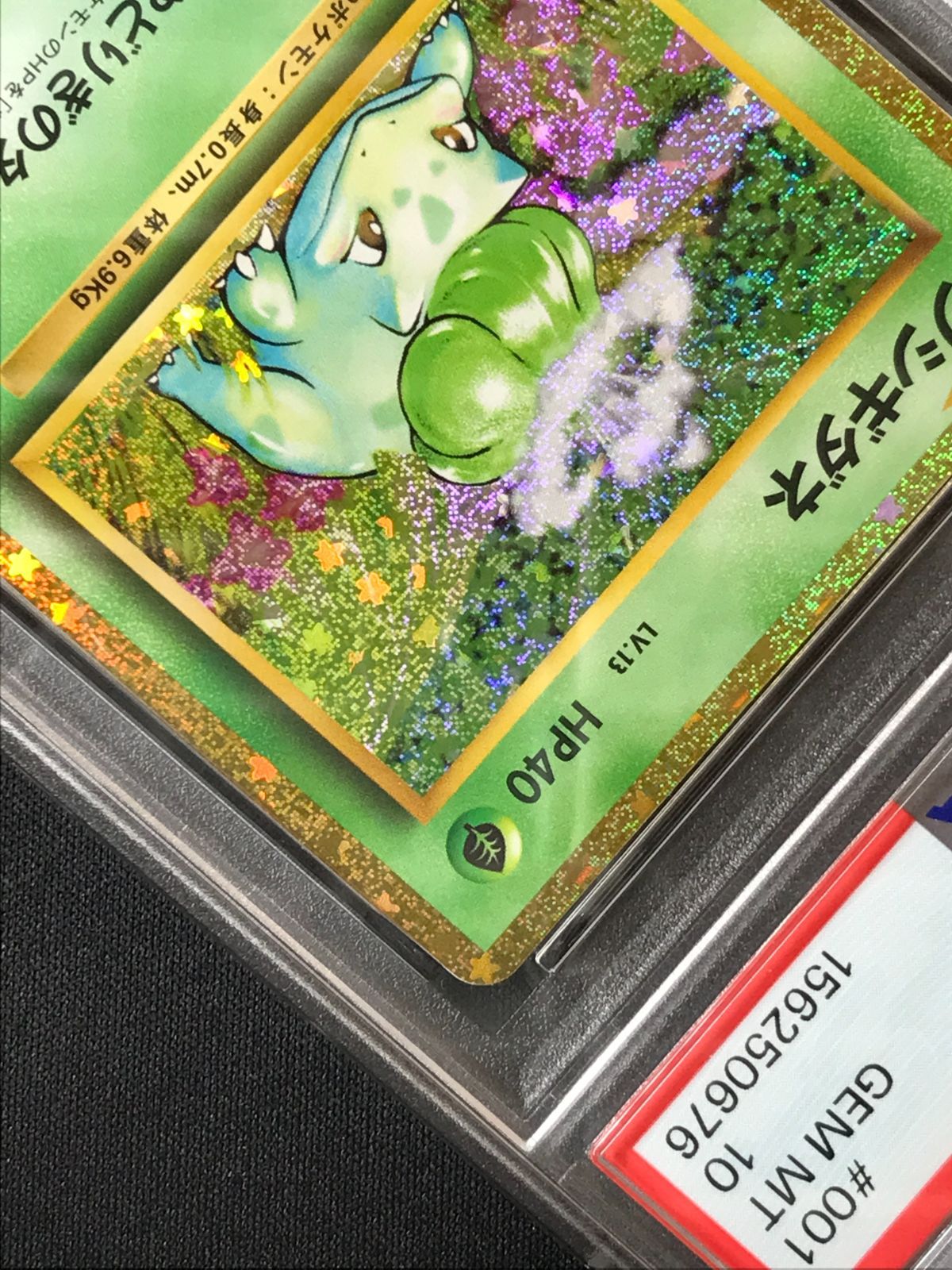 PSA10】 ポケモンカードゲーム ポケカ フシギダネ - CLF-001 CLF