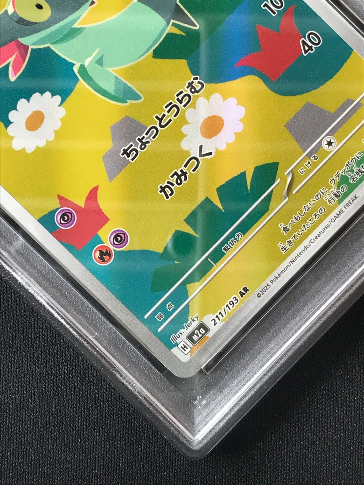 PSA10】 ポケモンカードゲーム ポケカ ドラメシヤ AR M2a-211 M2a ハイ
